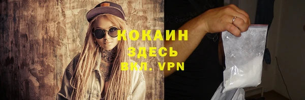 дурь Ельня