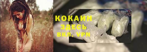 трава Елабуга