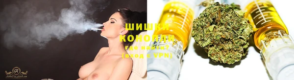 дурь Ельня