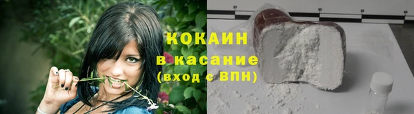 дурь Ельня