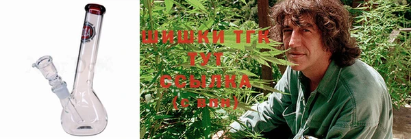 дурь Ельня