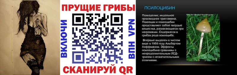 Купить закладки  Санкт-Петербург  Галлюциногенные грибы Magic Shrooms 